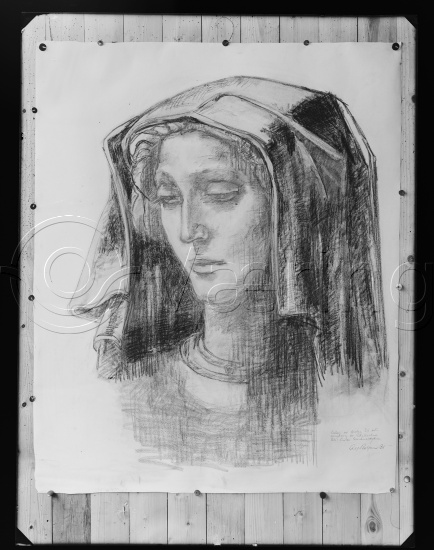 Glassplate og negativ film