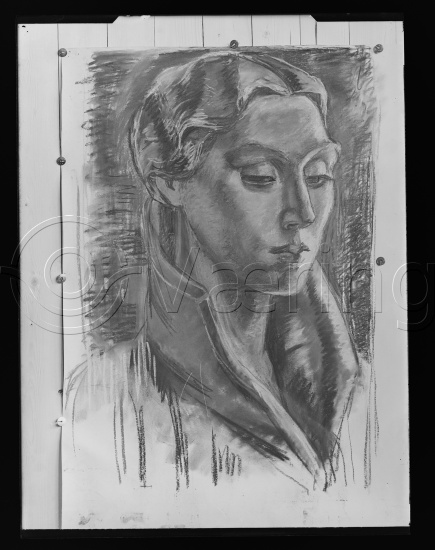 Glassplate og negativ film