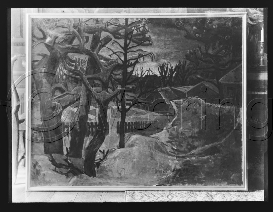 Glassplate og negativ film