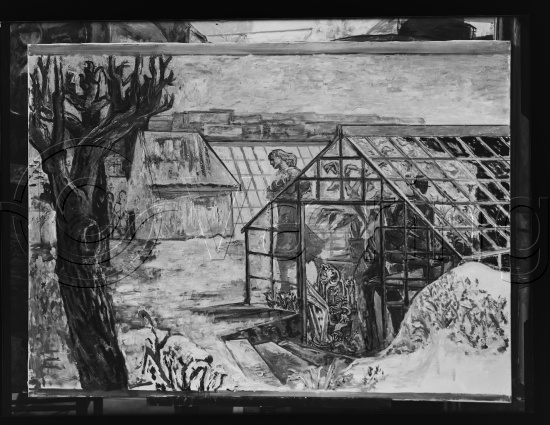 Glassplate og negativ film