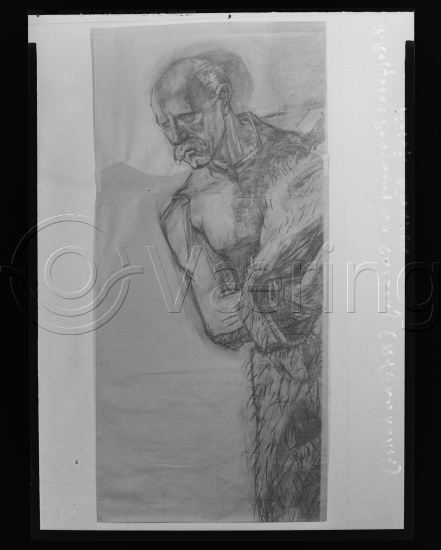 Glassplate negativ og negativ bladfilm. Monumentalmalerier