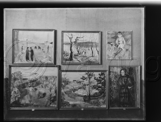 Glassplate og negativ film