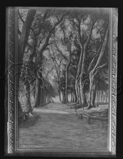 Glassplate og negativ film