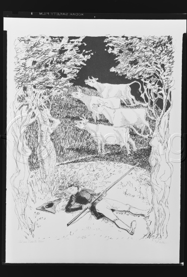 Glassplate og negativ film