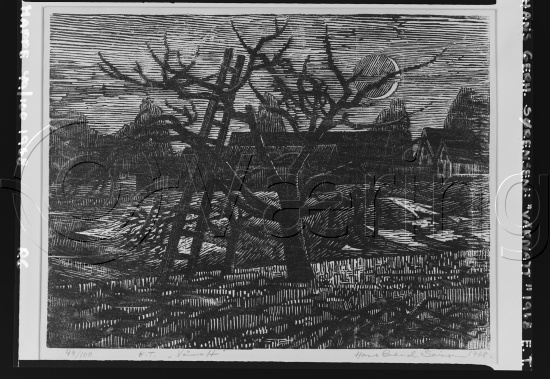 Glassplate og negativ film