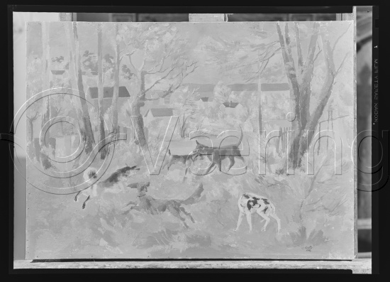 Glassplate og negativ film