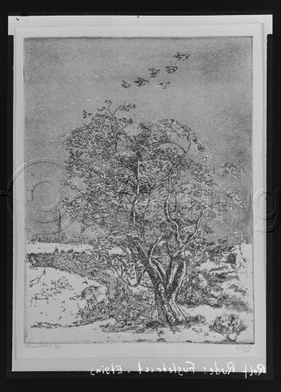 Glassplate og negativ film