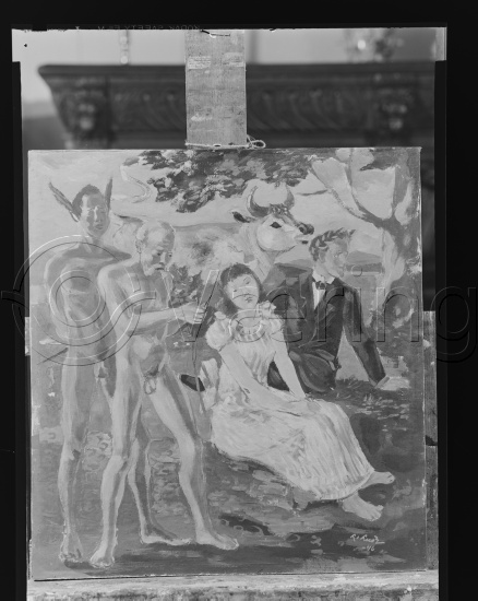 Glassplate og negativ film