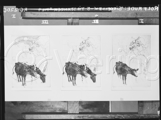 Glassplate og negativ film