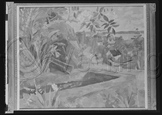 Glassplate og negativ film