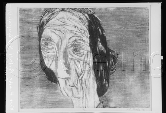 Glassplate og negativ film