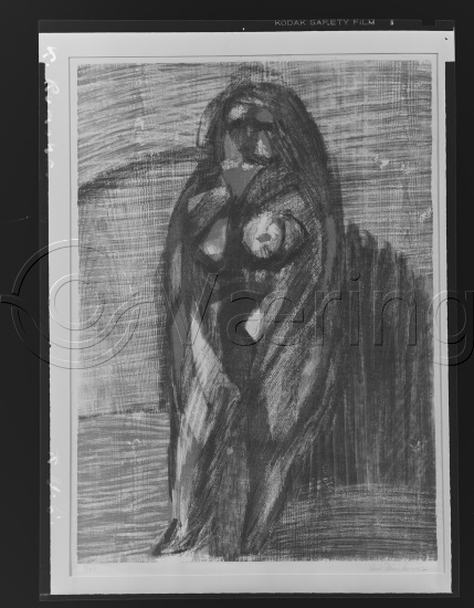 Glassplate og negativ film