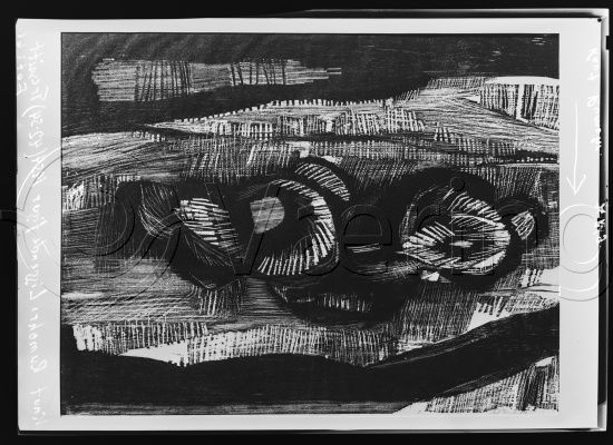 Glassplate og negativ film