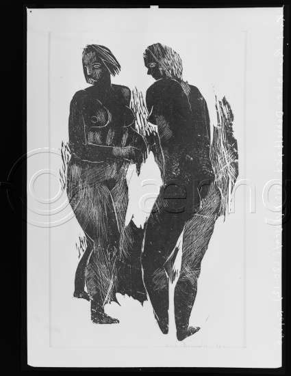 Glassplate og negativ film