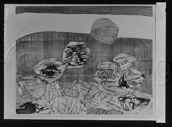 Glassplate og negativ film