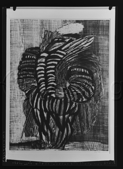 Glassplate og negativ film