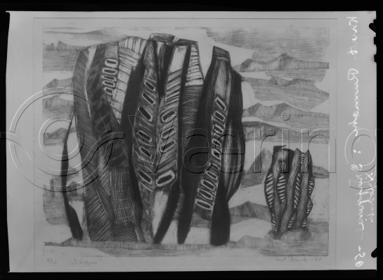 Glassplate og negativ film