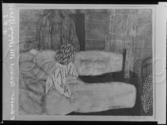 Glassplate og negativ film