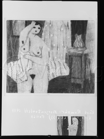 Glassplate og negativ film