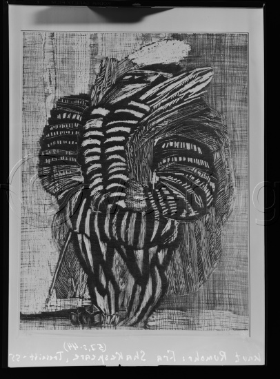 Glassplate og negativ film