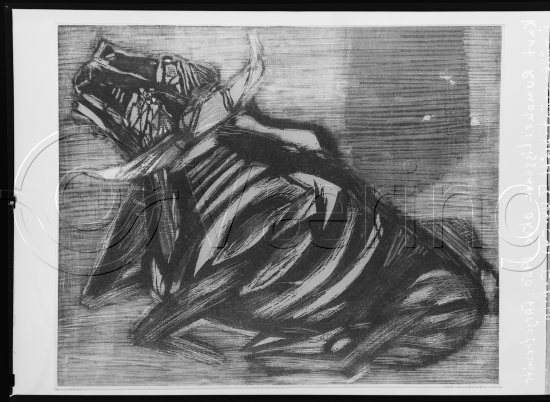 Glassplate og negativ film