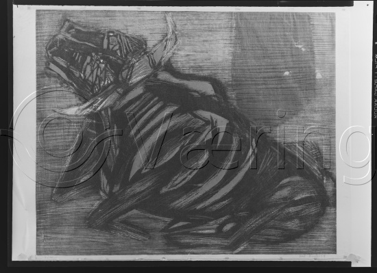 Glassplate og negativ film