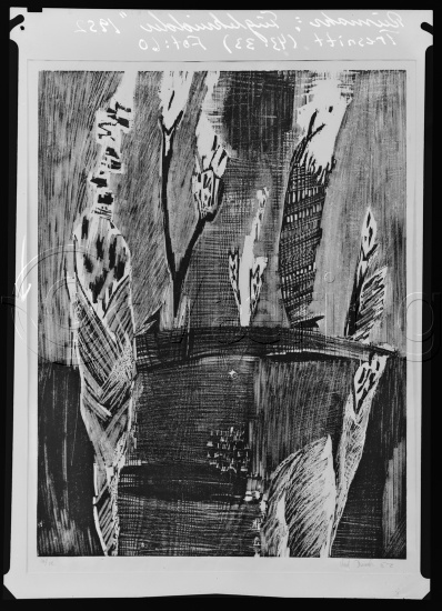 Glassplate og negativ film