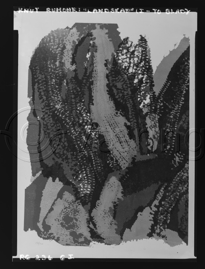 Glassplate og negativ film