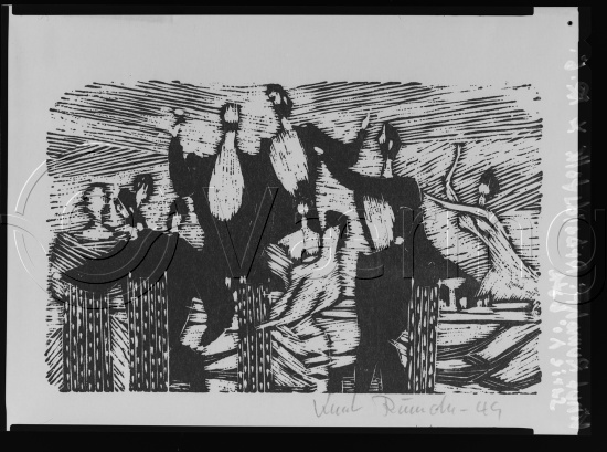 Glassplate og negativ film