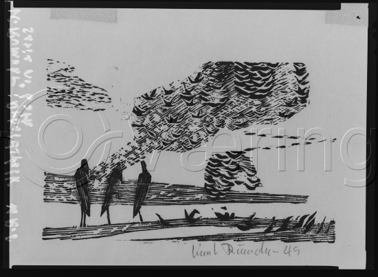 Glassplate og negativ film