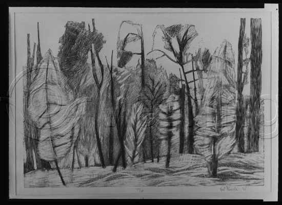 Glassplate og negativ film