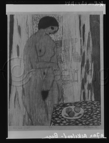 Glassplate og negativ film