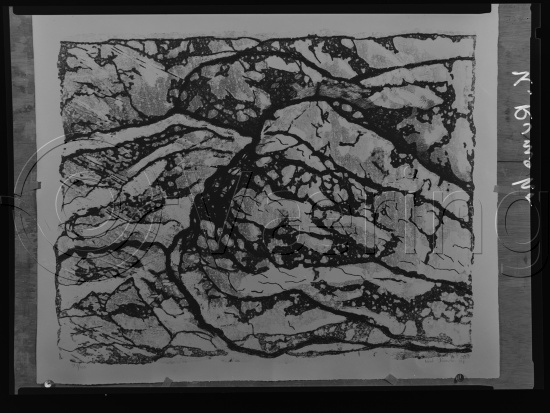 Glassplate og negativ film