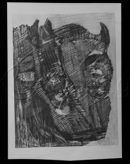 Glassplate og negativ film