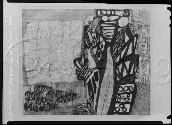 Glassplate og negativ film