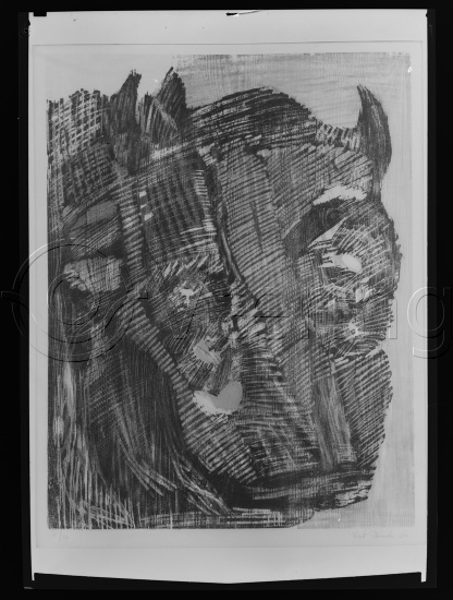 Glassplate og negativ film