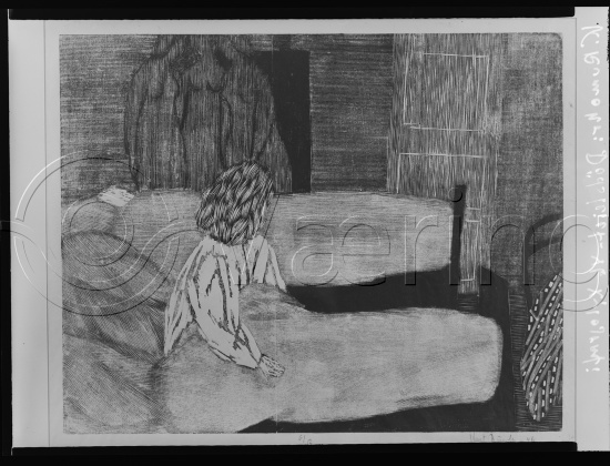 Glassplate og negativ film