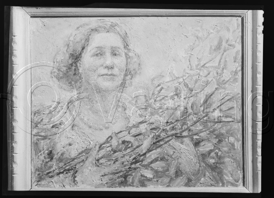 Glassplate og negativ film