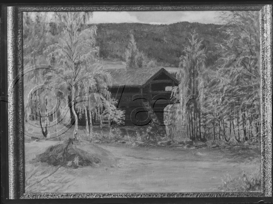 Glassplate og negativ film