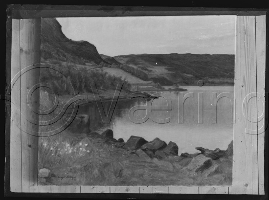 Glassplate og negativ film