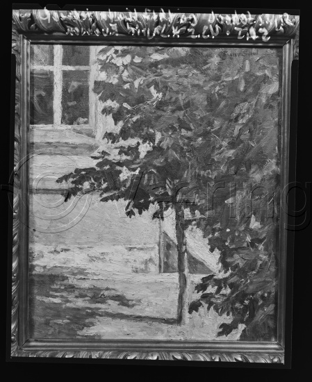 Glassplate og negativ film