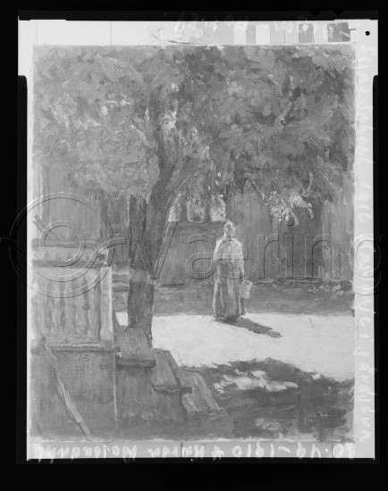 Glassplate og negativ film