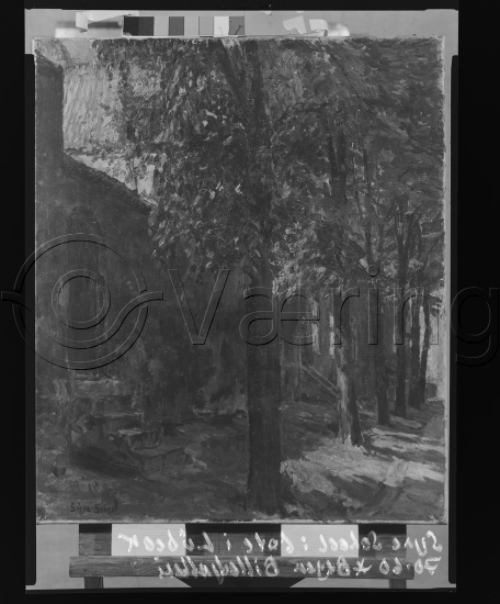 Glassplate og negativ film