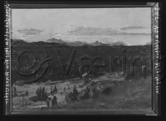 Glassplate og negativ film
