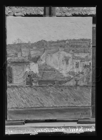 Glassplate og negativ film