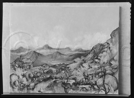 Glassplate og negativ film