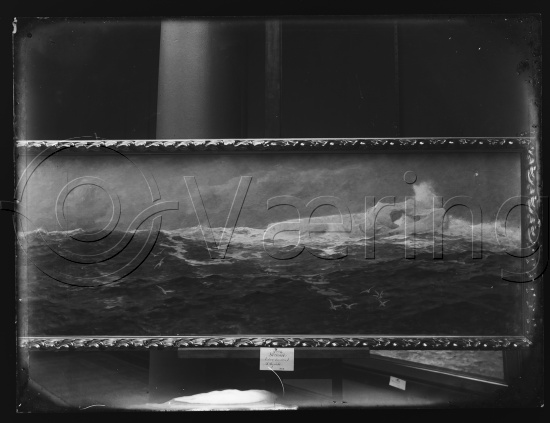 Glassplater og negativ film