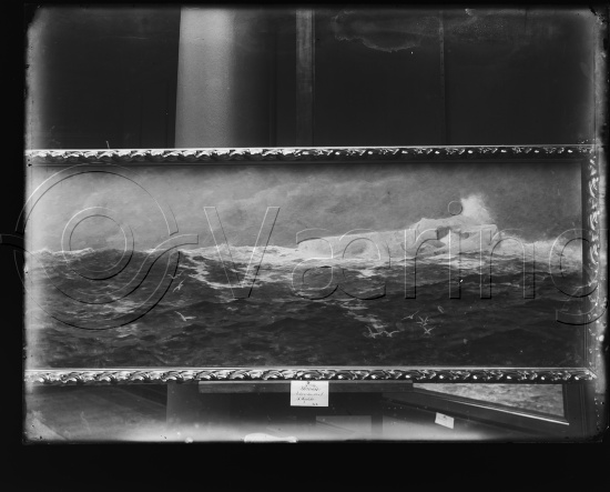 Glassplater og negativ film