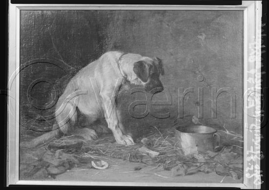 Glassplater og negativ film