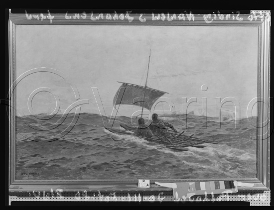 Glassplater og negativ film